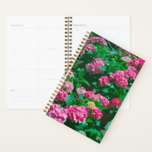 Agenda Rosa de navidades Helleborus Flowers Floral