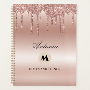 Agenda Rosa de Rubor Purpurina de goteo Shine metálico