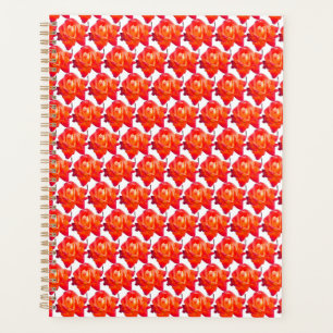 Agenda rosa naranja