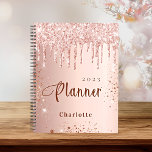 Agenda Rosa purpurina dorado rubor nombre monograma 2025<br><div class="desc">Un falso fondo dorado rosa con elegantes goteos en purpurina de imitación ruidosos,  pinturas de goteo. Personalice y agregue un nombre y un año. Perfecto para la escuela,  el trabajo o la organización de su vida personal/familiar.</div>