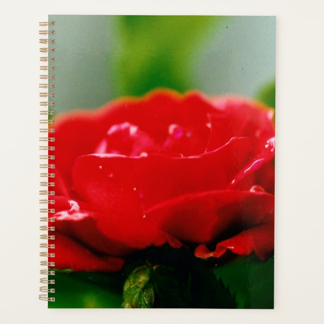 Agenda Rosa roja matutina cubierta de rocío (Anverso)