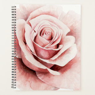 Agenda Rosa rosa