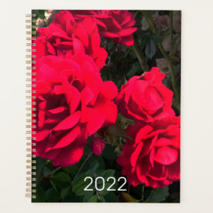 Agenda Rosario de rosas rojas 2022