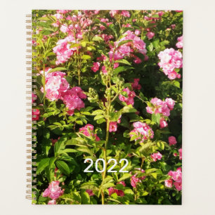 Agenda Rosario Floriente 2022