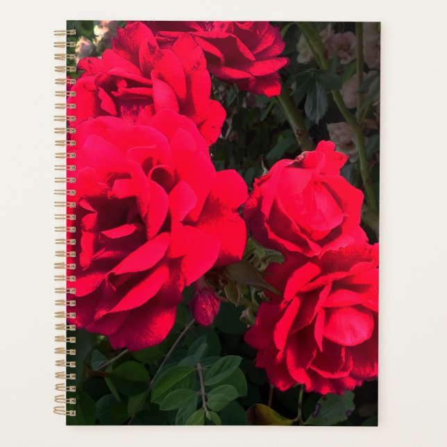 Agenda Rosario Roses Rojos (Anverso)