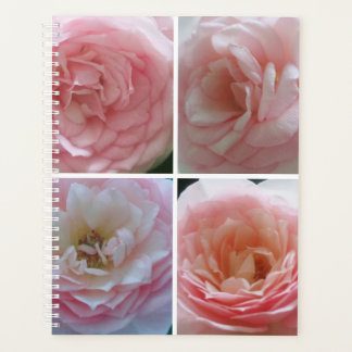 Agenda Rosas bonitos