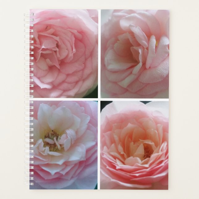 Agenda Rosas bonitos (Anverso)