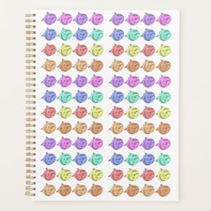 Agenda Rosas del arcoiris