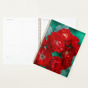 Agenda Rosas rojas hojas verdes pálidas