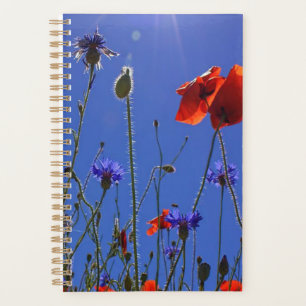 Agenda rosas rojos y morados abrazando un cielo y sol azu