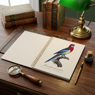 Agenda Rosella oriental o perico Platycercus eximius