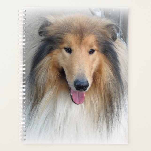 Agenda Rough Collie Portrait (Anverso)