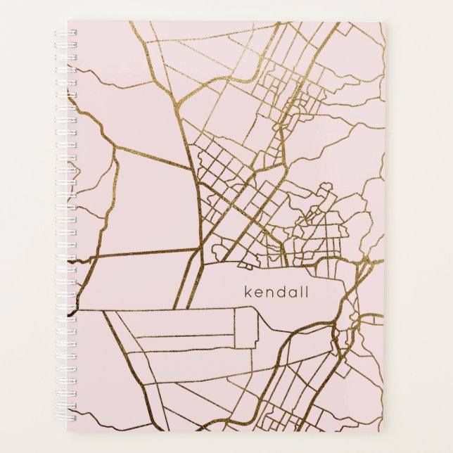 Agenda Rubor Pink with Gold Look Map y Name (Anverso)