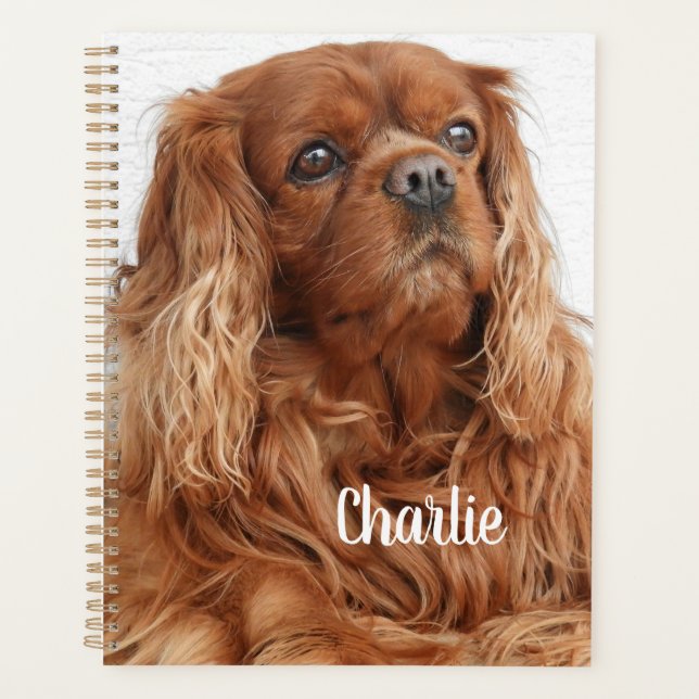 Agenda Ruby Cavalier King Charles Spaniel Dog (Anverso)