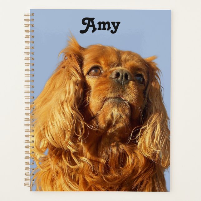Agenda Ruby Cavalier King Charles Spaniel Puppy Dog Blue (Anverso)