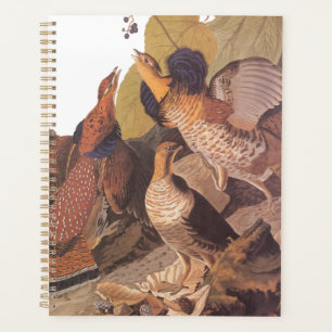 Agenda Ruffed Grouse Audubon Game Bird