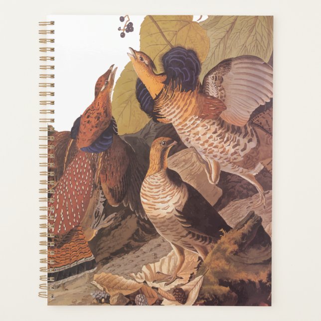 Agenda Ruffed Grouse Audubon Game Bird (Anverso)