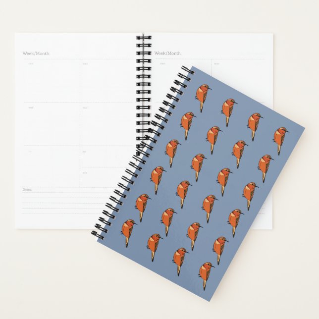 Agenda Rufous Hummingbird abre anualmente el plan (Demostración)