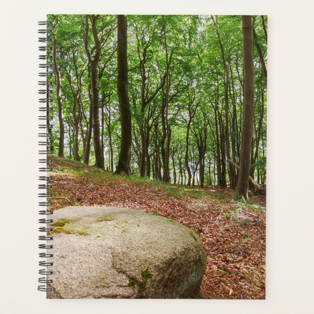 Agenda Ruheort Buchenwald (Anverso)