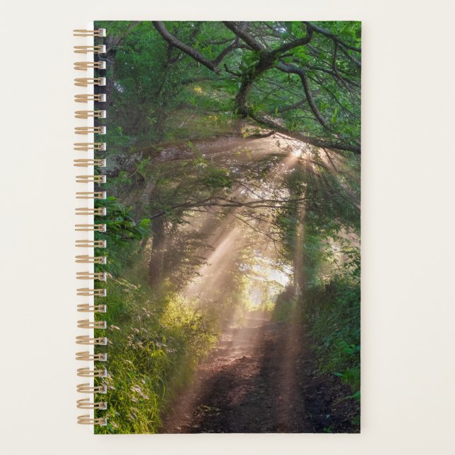 Agenda Ruta forestal (Anverso)