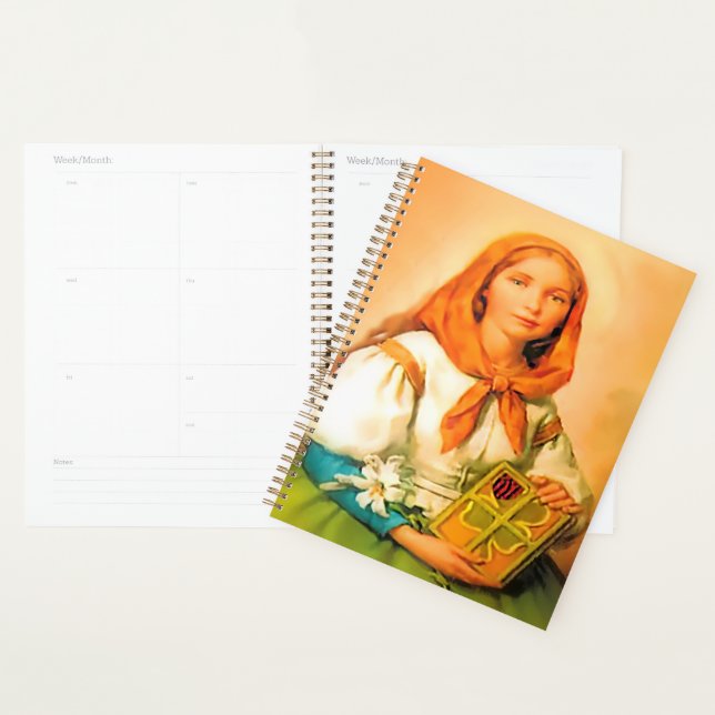 Agenda Saint Dymphna (Demostración)
