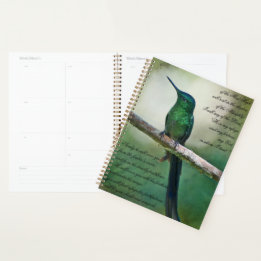 Agenda Salmos 91:1-4 Inspiradores