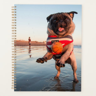 Agenda Salto de juego de Pug en la playa