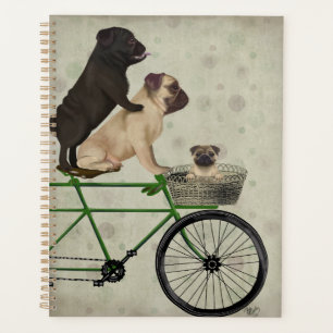 Agenda Saltos en bicicleta