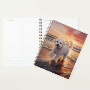 Agenda Sandy Paws Bichon Frise Dog en Beach Sunset