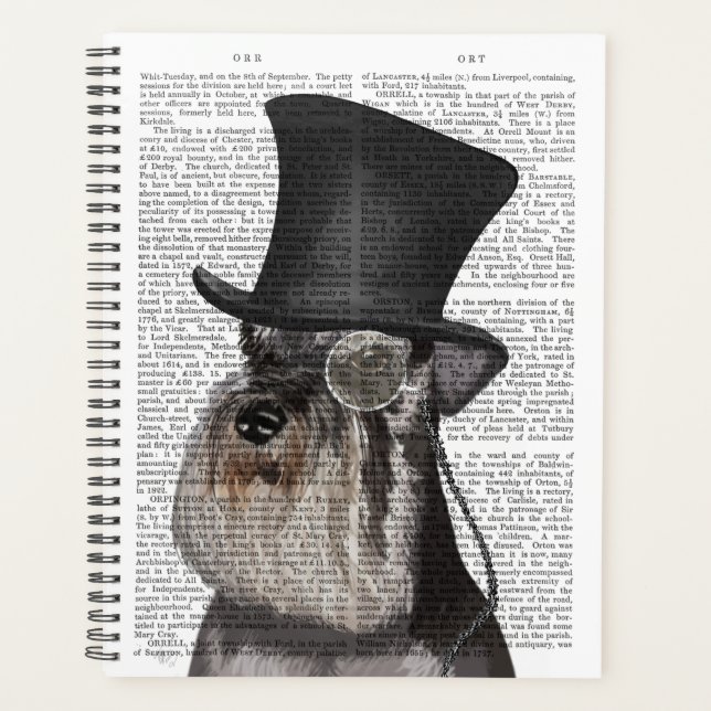 Agenda Schnauzer, hebilla formal y Gorra (Anverso)