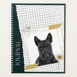 Agenda Scottish Terrier 