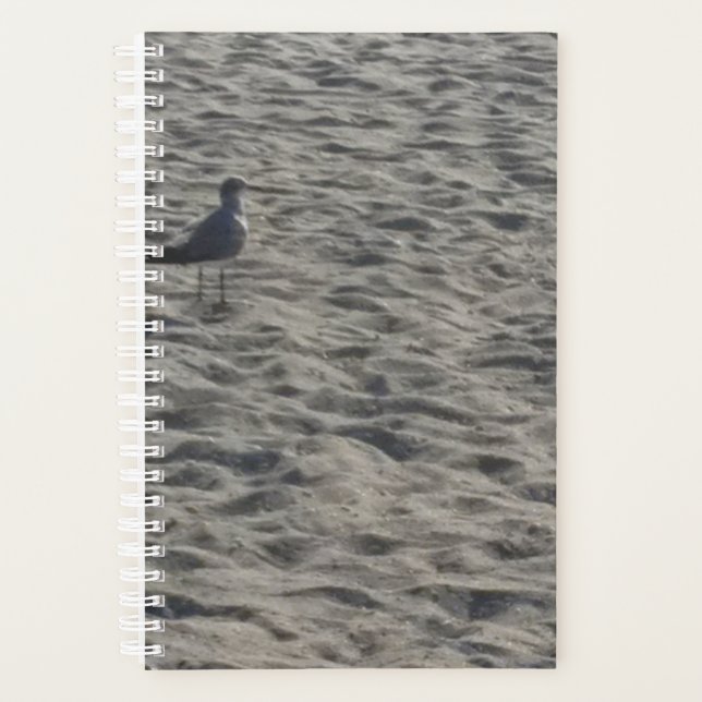 Agenda Seagull Planner (Anverso)