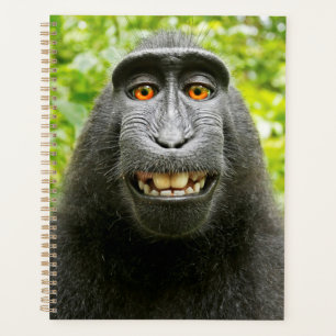 Agenda Selfie de mono