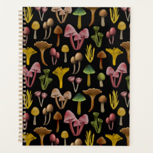 Agenda Setas, Lichen y hongos coloridos