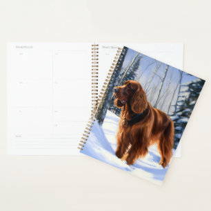 Agenda Setter Irlandés Deja que nieve Navidad