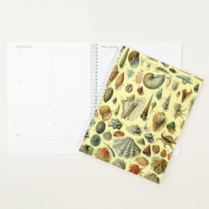Agenda Shell de conchas marinas Mollusk Clam Elegante Art