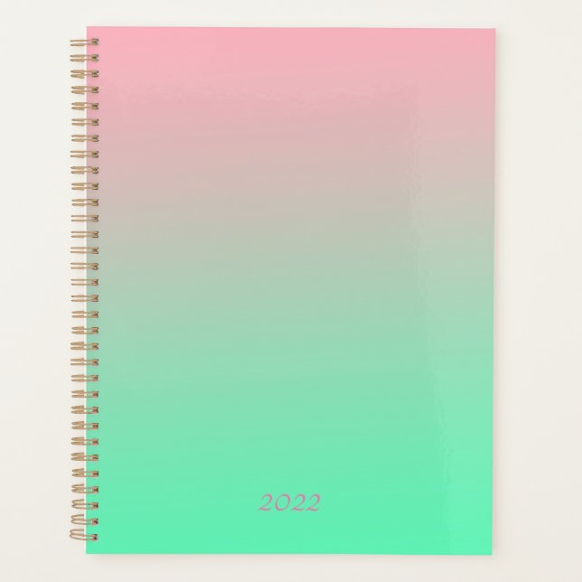 Agenda Siempre se debe ver rosa y verde pálido pastel (Anverso)