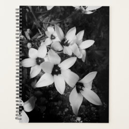 Agenda Silent Symmetry