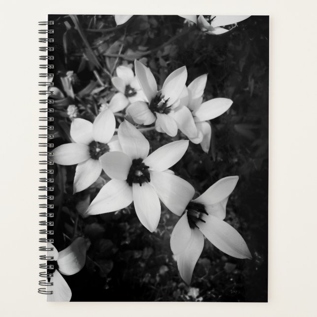 Agenda Silent Symmetry (Anverso)