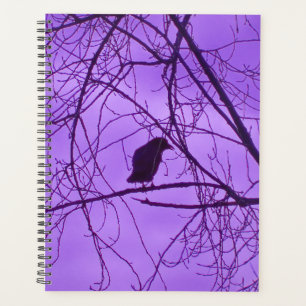 Agenda Silhouette de cuerdas negras solitarias en árboles