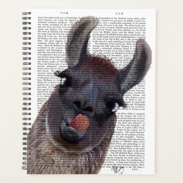 Agenda Silly Llama (Anverso)