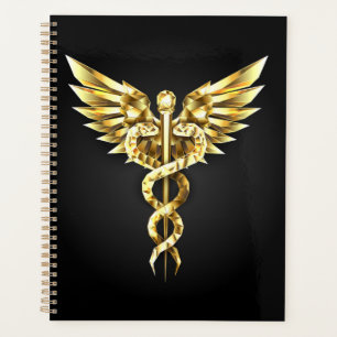 Agenda Símbolo poligonal de oro Caduceus