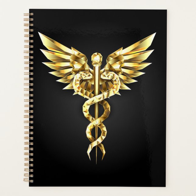 Agenda Símbolo poligonal de oro Caduceus (Anverso)