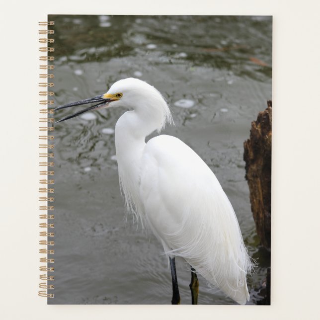 Agenda Singing Snowy Egret (Anverso)