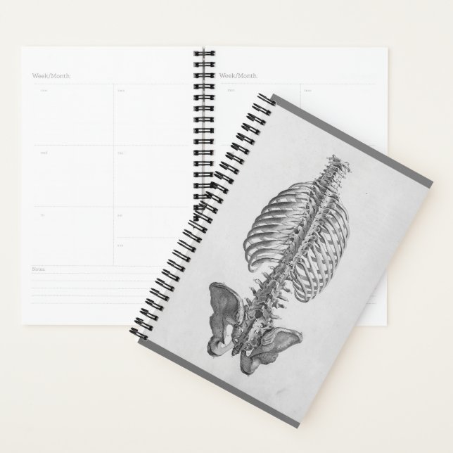 Agenda Skeleton planner (Demostración)