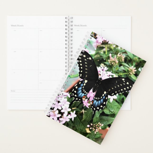 Agenda Sm Planner Black Swallowtail (Demostración)