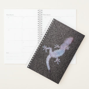 Agenda Sm Planner Gecko sobre el vidrio