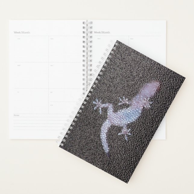 Agenda Sm Planner Gecko sobre el vidrio (Demostración)