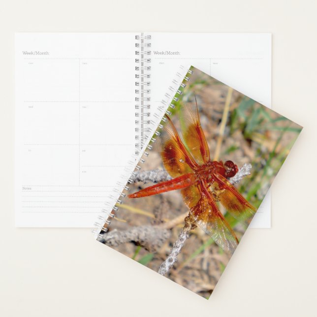Agenda Sm Planner Naranja Dragonfly (Demostración)