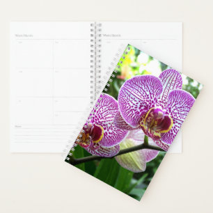 Agenda Sm Planner Orquídeas Purple Striped